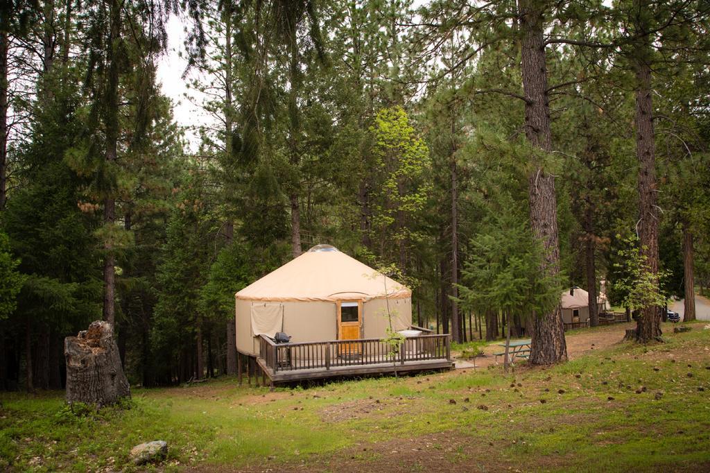 Yosemite Lakes Hillside Yurt 1 Harden Flat Exterior photo